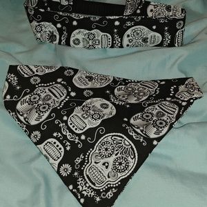 Dog bandana with matching headband